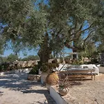 Louiza - Luxury Stone Villa Volimes